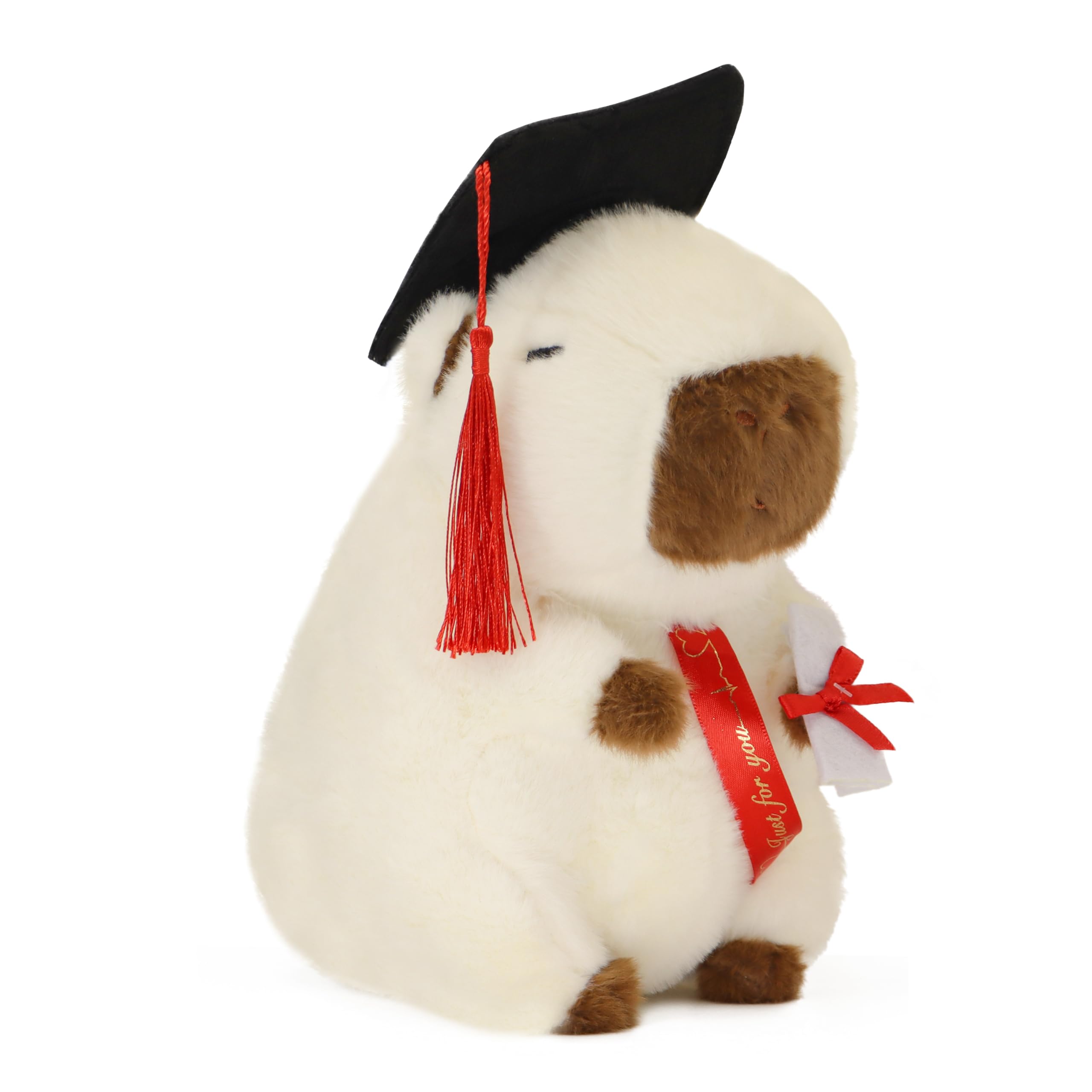Amazon.com: TXDRRA 7.8-Inch Graduation Capybara Plush – 2026 PhD